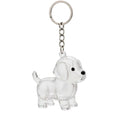 Llavero de Recuerdo para Mascotas con Cápsula Transparente para Pelo