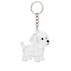 Llavero de Recuerdo para Mascotas con Cápsula Transparente para Pelo