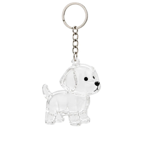 Llavero de Recuerdo para Mascotas con Cápsula Transparente para Pelo