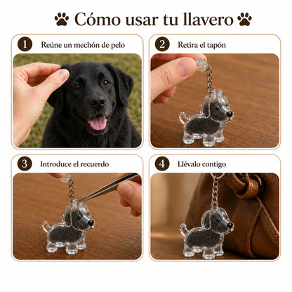 MemoraPet™ Perros